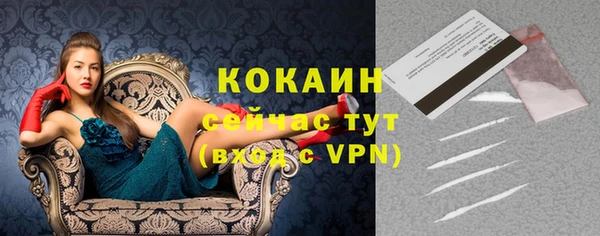 стаф Навашино