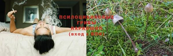 стаф Навашино