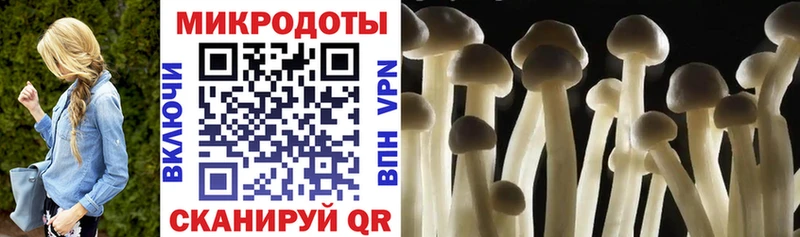 Псилоцибиновые грибы Magic Shrooms  Черепаново 
